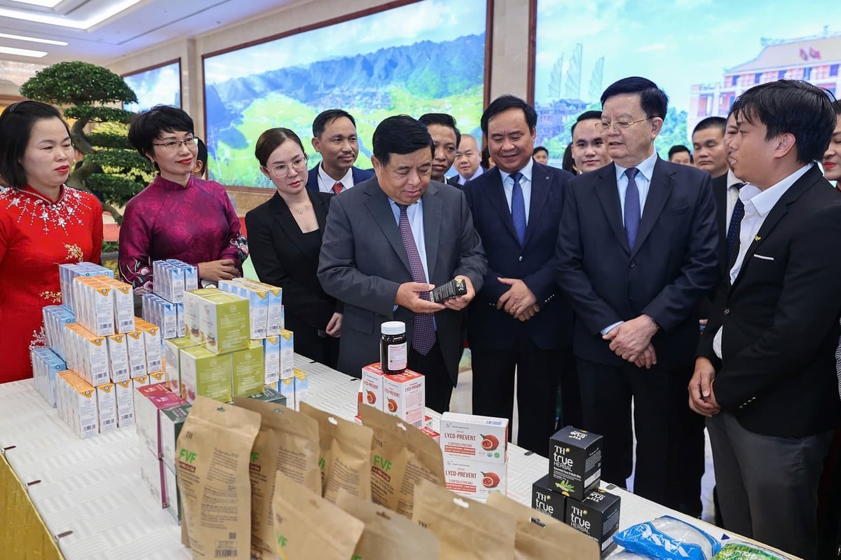 Gần 3.000 dự án liên kết theo Nghị định 98 đã được triển khai, huy động hơn 15.000 tỷ đồng, trong đó 79% là vốn đối ứng từ doanh nghiệp, hợp tác xã và người dân.