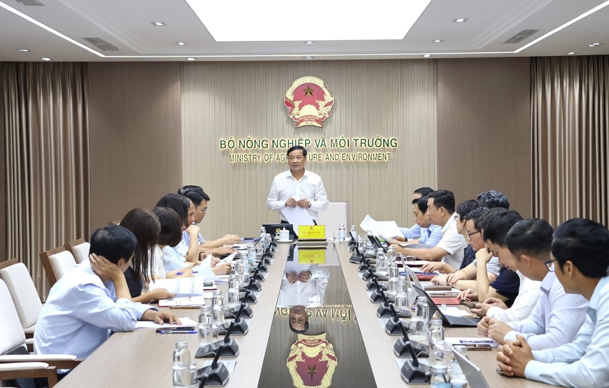 Đại diện các đơn vị trực thuộc Bộ tham dự cuộc họp. Ảnh: Trung Nguyên.