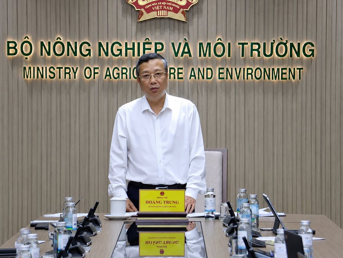 Thứ trưởng Hoàng Trung yêu cầu khẩn trương khắc phục lỗ hổng an toàn thông tin và hoàn tất đồng bộ dữ liệu chuyên ngành để đảm bảo hệ thống TXNG 'lên sóng' đúng hẹn. Ảnh: Nguyễn Thủy.