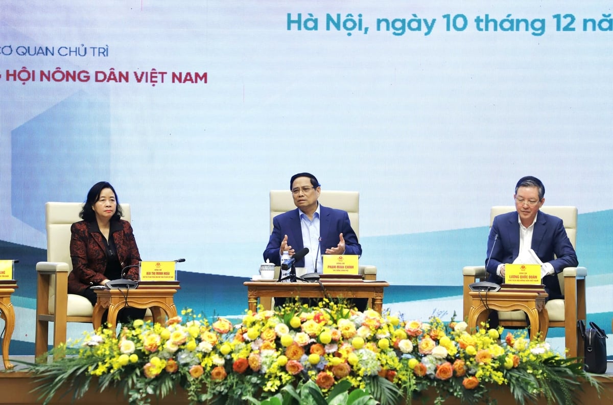 Thủ tướng Phạm Minh Chính: 'Mỗi nông dân là một chiễn sĩ trên ruộng đồng'. Ảnh: Lê Hiếu. Thủ tướng Phạm Minh Chính: 'Mỗi nông dân là một chiễn sĩ trên ruộng đồng'. Ảnh: Lê Hiếu.