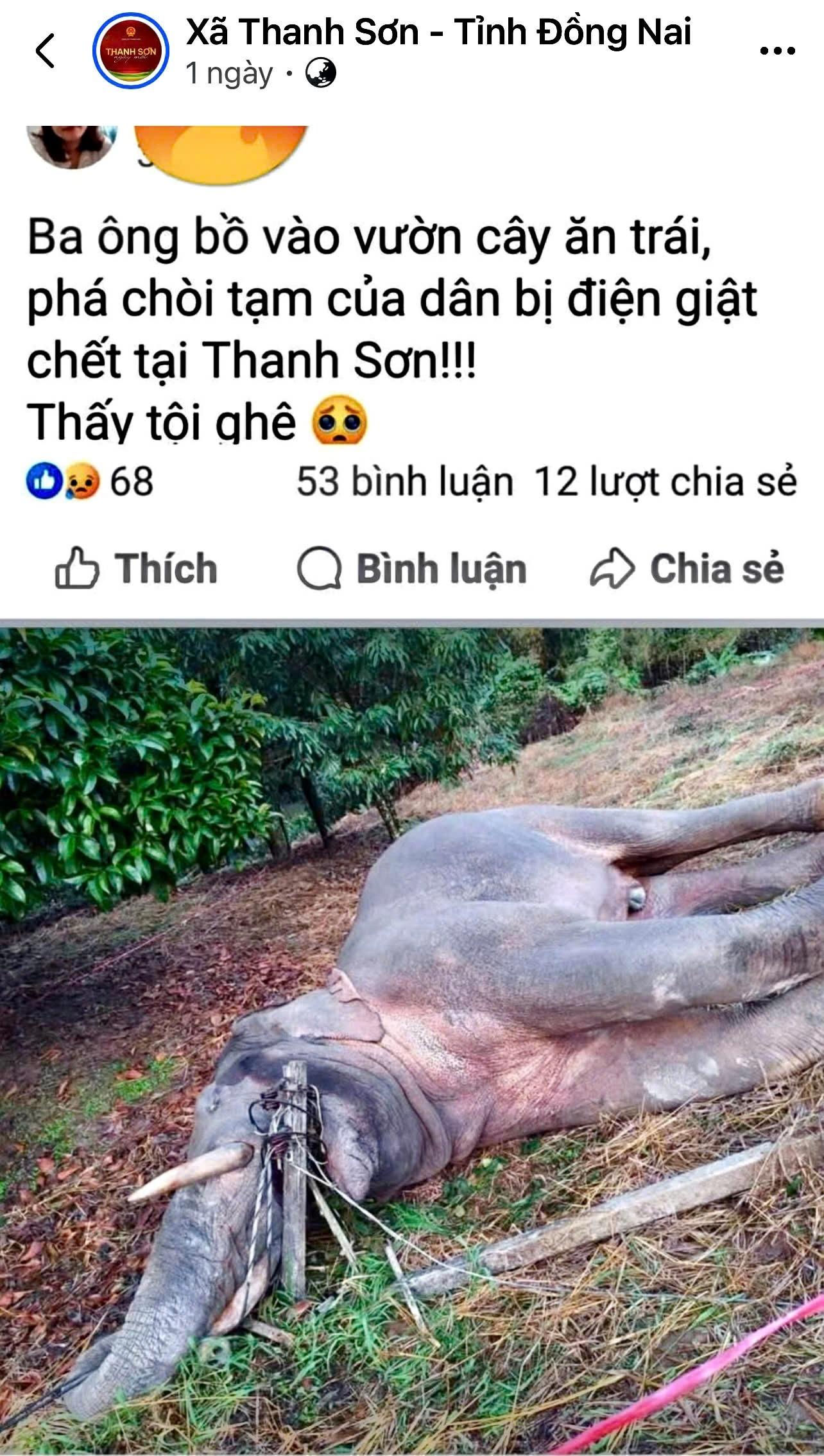 Bà V.T.V. sử dụng tài khoản Facebook cá nhân thông tin sai sự thật về một cá thể voi bị điện giật chết tại xã Thanh Sơn, tỉnh Đồng Nai. Ảnh: CTV