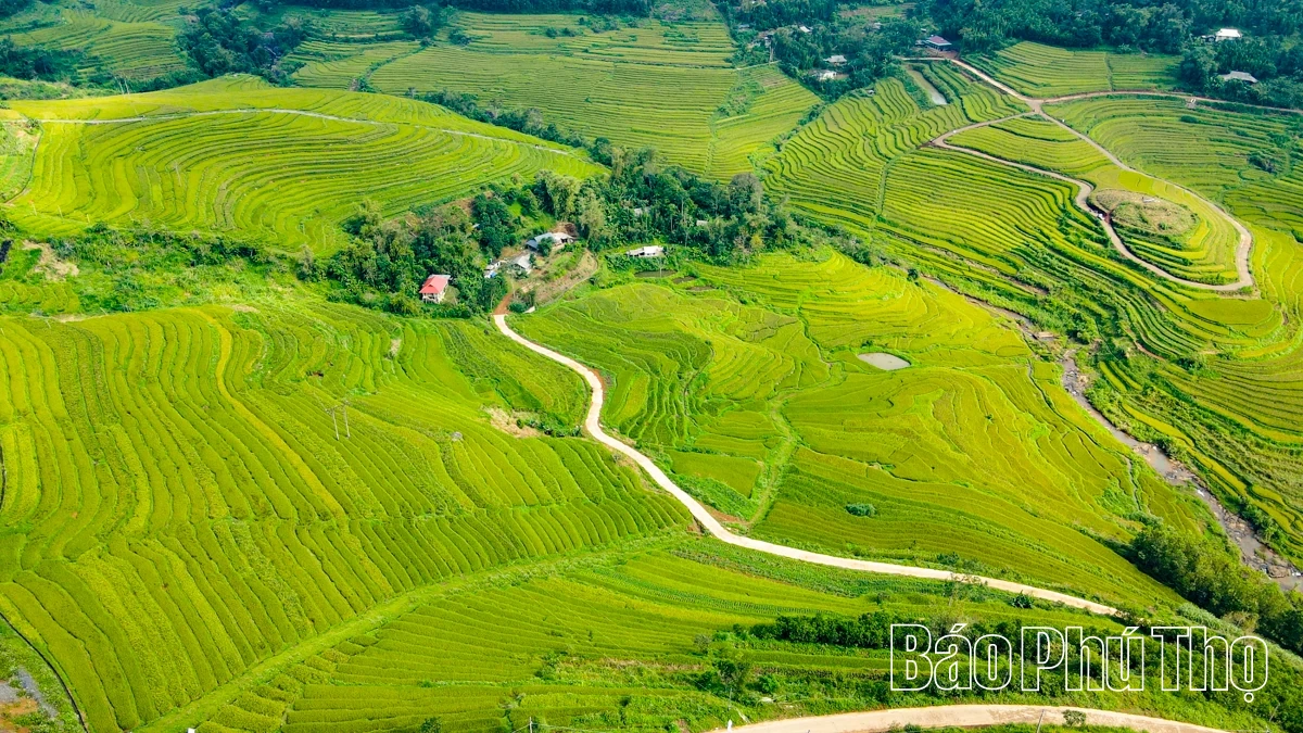 Thả hồn trên đỉnh Miền Đồi