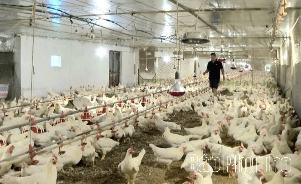 Xã Hoàng An: Chuyển mình từ làng quê truyền thống thành điểm sáng kinh tế