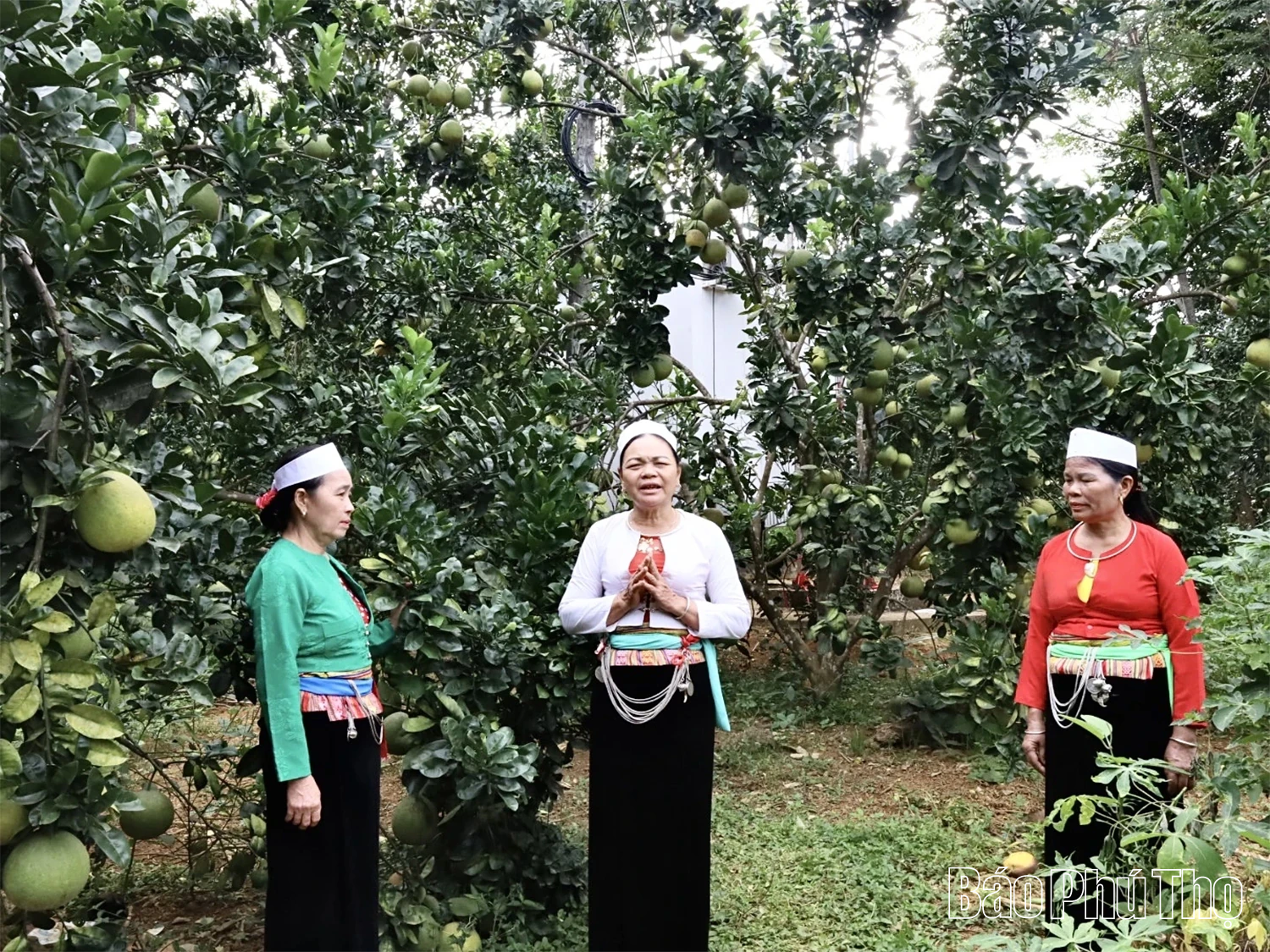 Tỉnh Phú Thọ có 5 di sản được UNESCO ghi danh