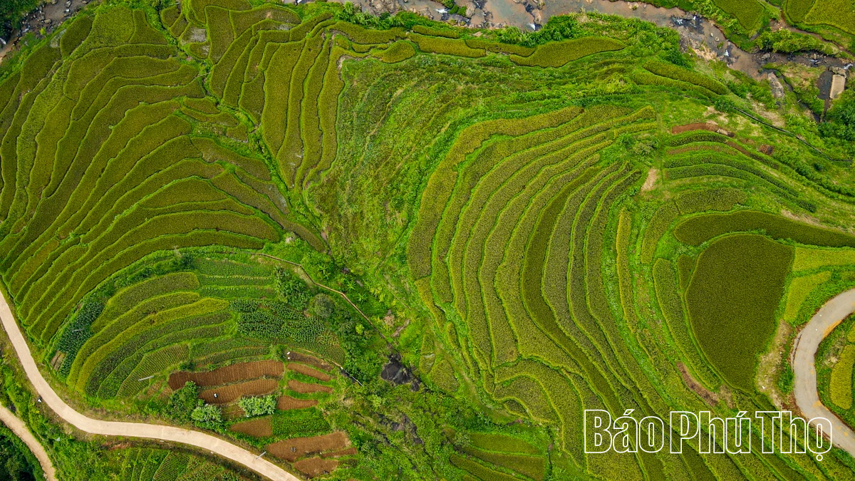 Thả hồn trên đỉnh Mường Vang