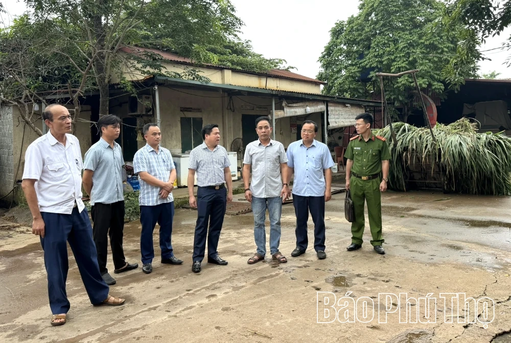 Kiểm tra công tác quản lý hoạt động giết mổ động vật, đảm bảo an toàn vệ sinh thực phẩm