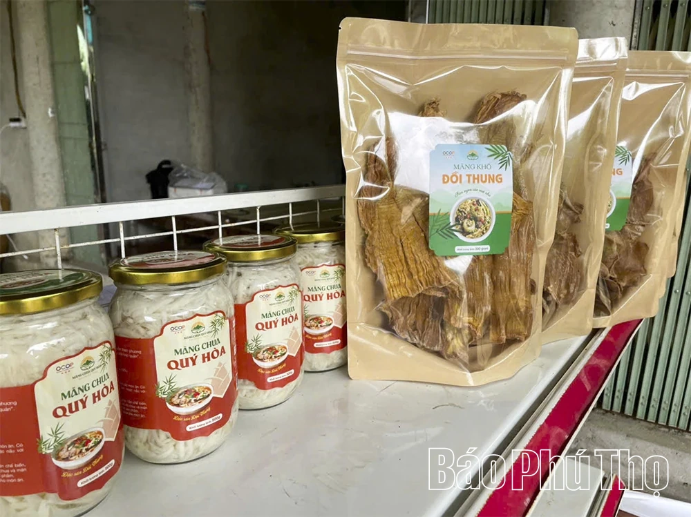 Mùa măng ở Đỉnh Thung