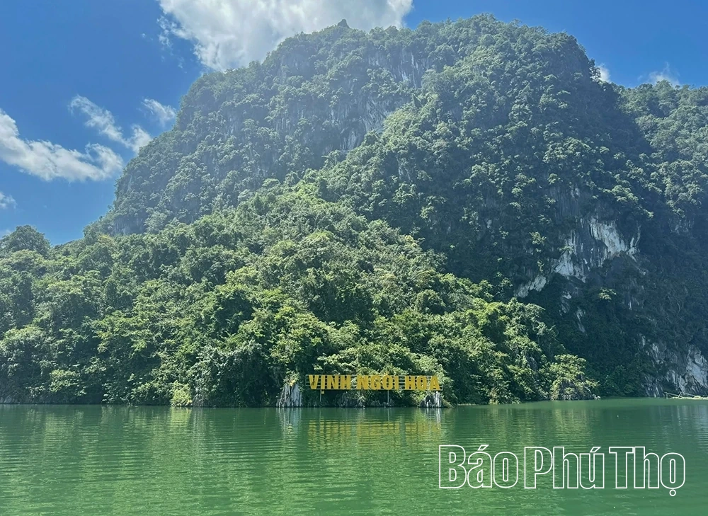 Khám phá điểm đến Vịnh Ngòi Hoa