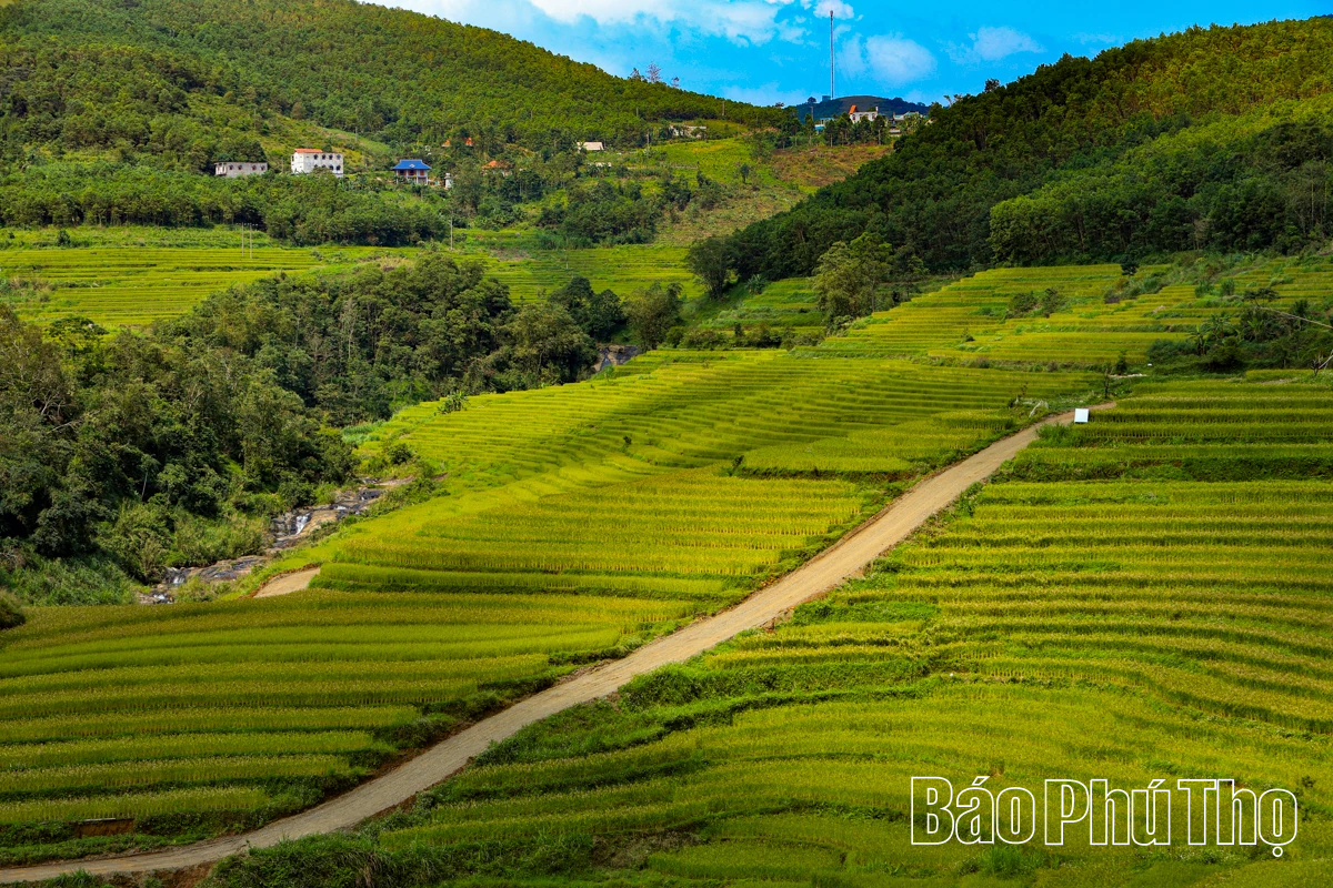 Thả hồn trên đỉnh Mường Vang