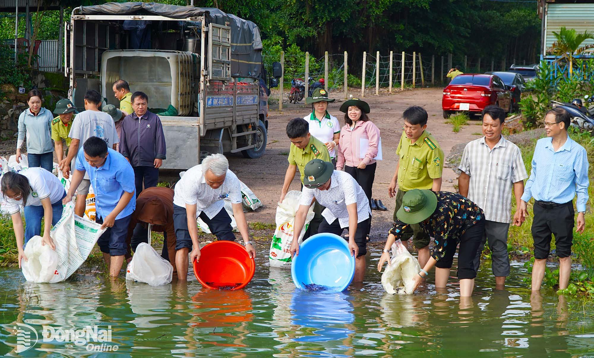 Các cán bộ và nhân viên của Khu Bảo tồn thiên nhiên - văn hóa Đồng Nai thực hiện chương trình thả cá. Ảnh: An Nhơn  