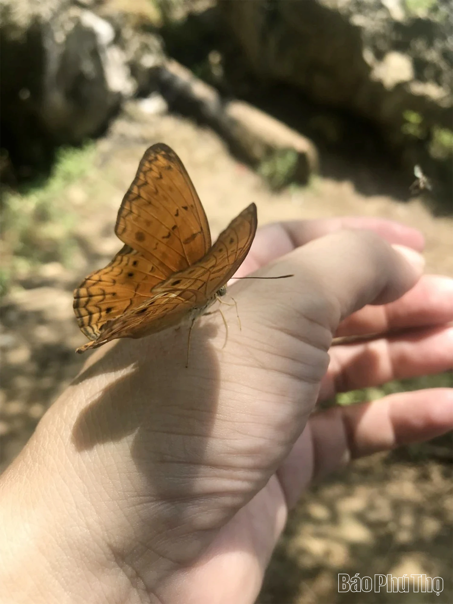 Nơi không gian, thời gian ngưng đọng giữa đại ngàn