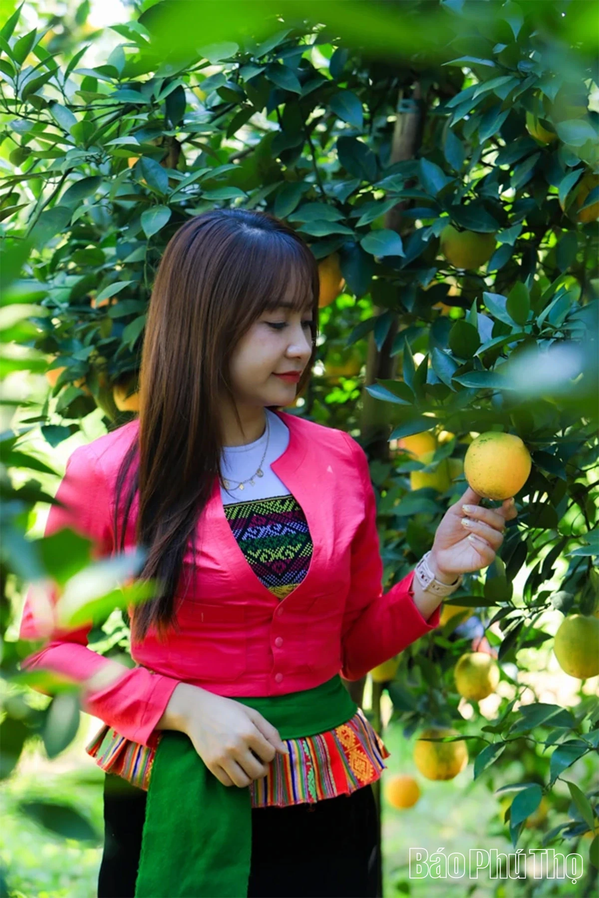 Trải nghiệm giữa sắc cam Cao Phong rực rỡ