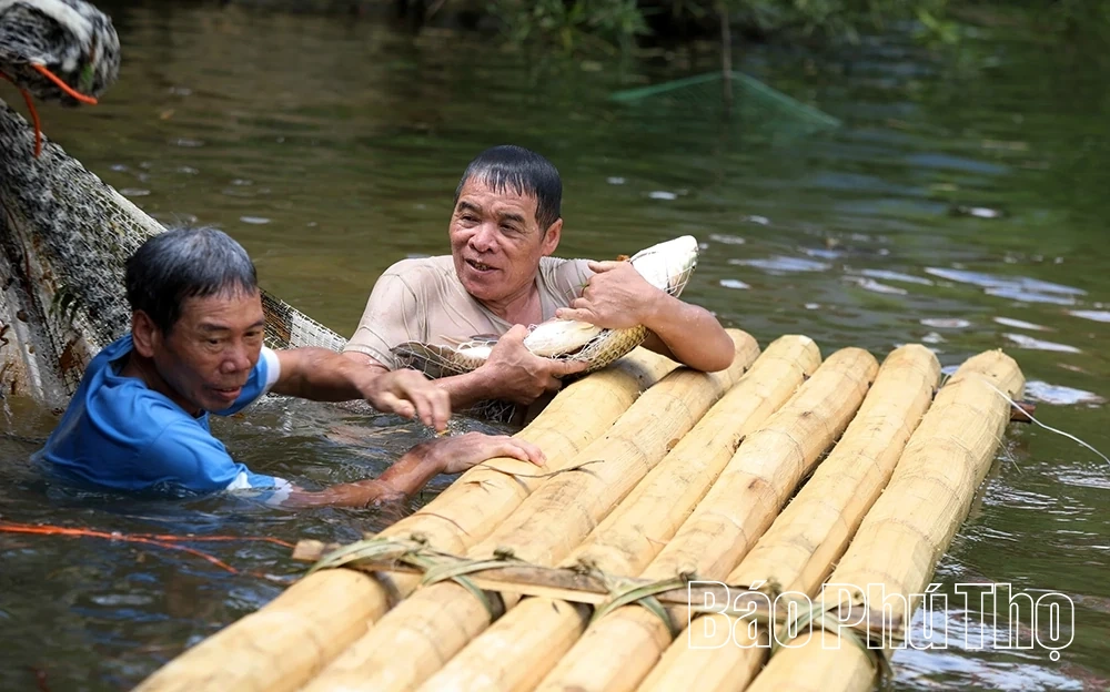 Sẵn sàng tổ chức Lễ hội Đánh cá suối truyền thống xã Toàn Thắng