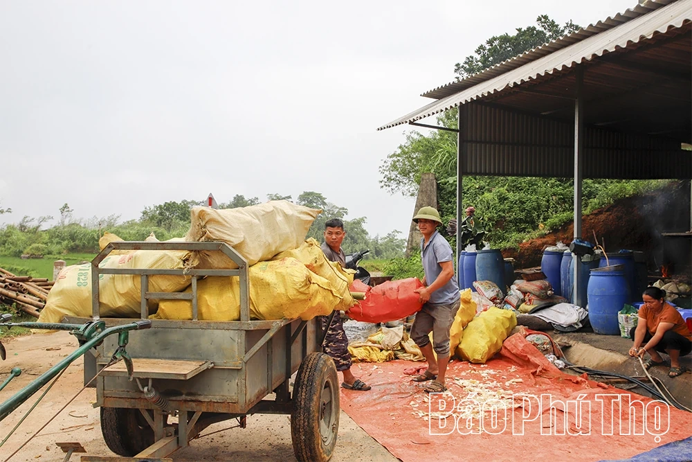 Mùa măng ở Đỉnh Thung