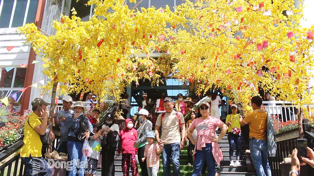 Du khách tại điểm dừng chân trên hành trình chinh phục đỉnh núi Chứa Chan. Ảnh: ĐVCC