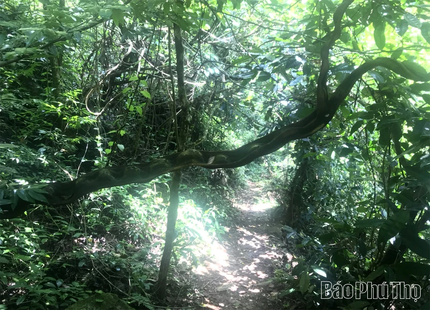 Nơi không gian, thời gian ngưng đọng giữa đại ngàn