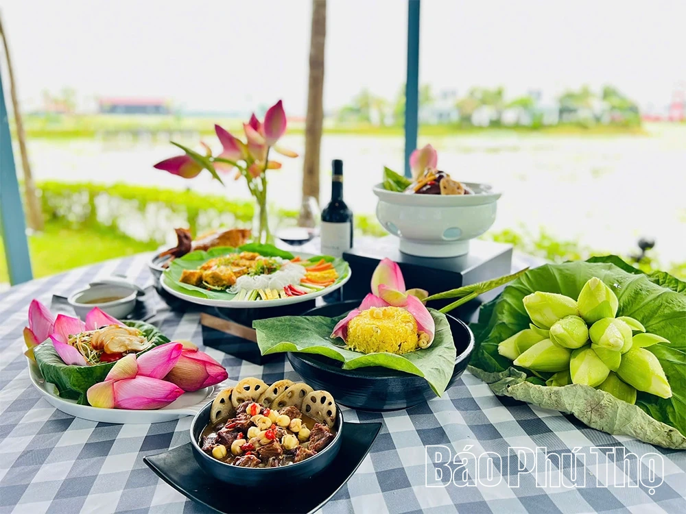 Sắc sen mùa Hạ - Điểm nhấn xanh giữa lòng Vườn Vua