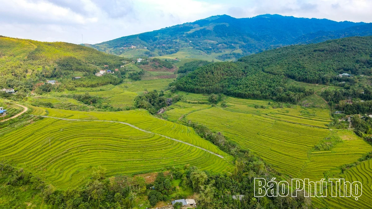 Thả hồn trên đỉnh Miền Đồi