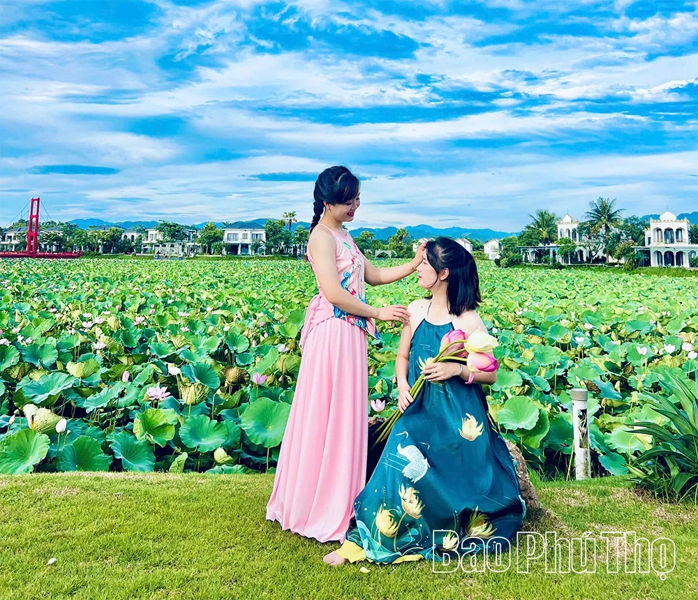 Sắc sen mùa Hạ - Điểm nhấn xanh giữa lòng Vườn Vua