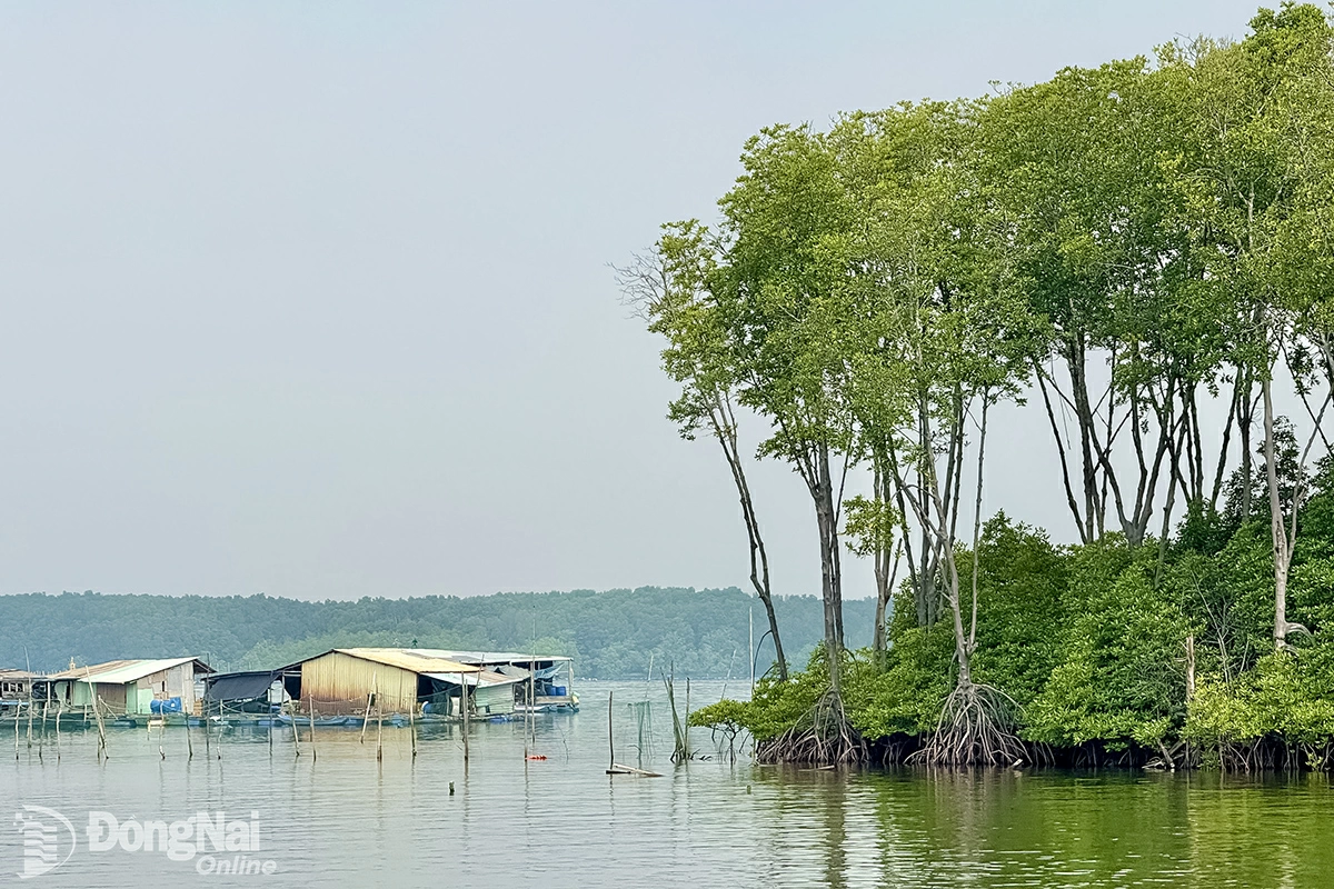 Dự báo từ nay đến cuối tháng 12-2025, mực nước tại các sông Đồng Nai, La Ngà và triều cường ở khu vực hạ lưu sông Đồng Nai có khả năng dâng cao. Ảnh: Đăng Tùng 