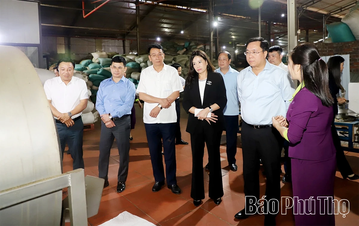 Chủ tịch UBND tỉnh thăm, làm việc tại 3 xã Thanh Ba, Quảng Yên, Hoàng Cương