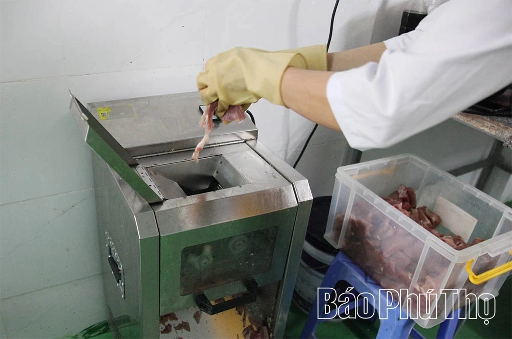 Xây dựng thương hiệu sản phẩm OCOP thịt chua Friend Foods