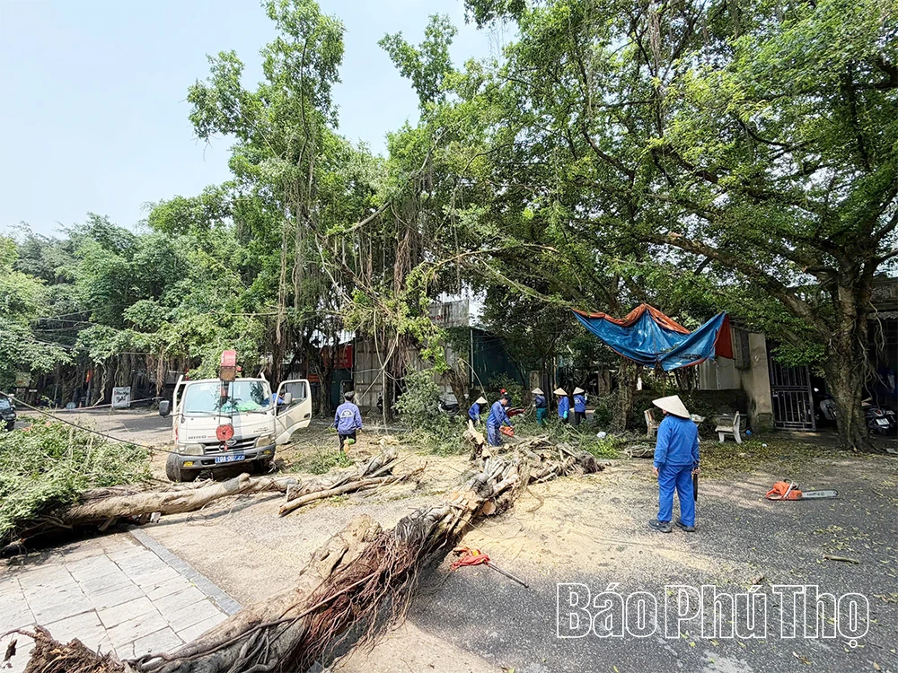 Khẩn trương khắc phục thiệt hại do dông, lốc gây ra