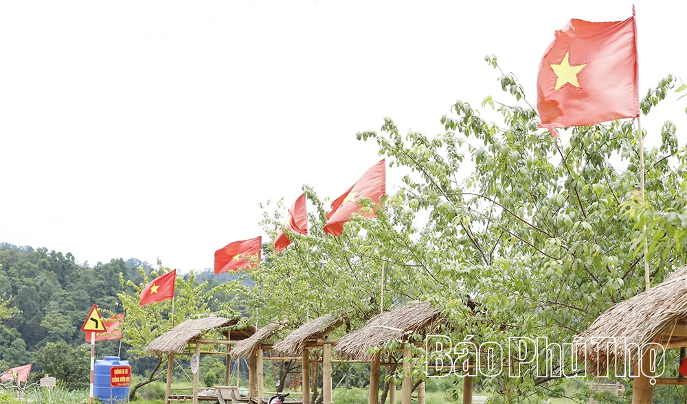 Xóm Mừng rực rỡ mùa hoa Sao Nhái