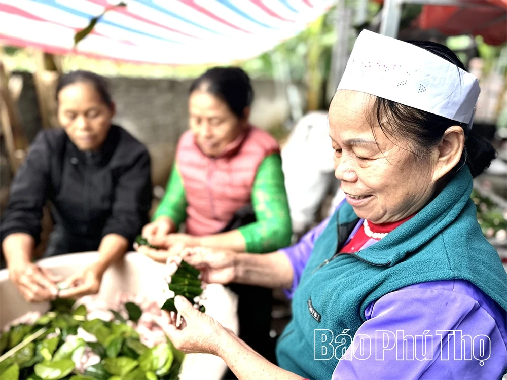 Chả cuốn l&aacute; bưởi - tinh t&uacute;y ẩm thực xứ Mường