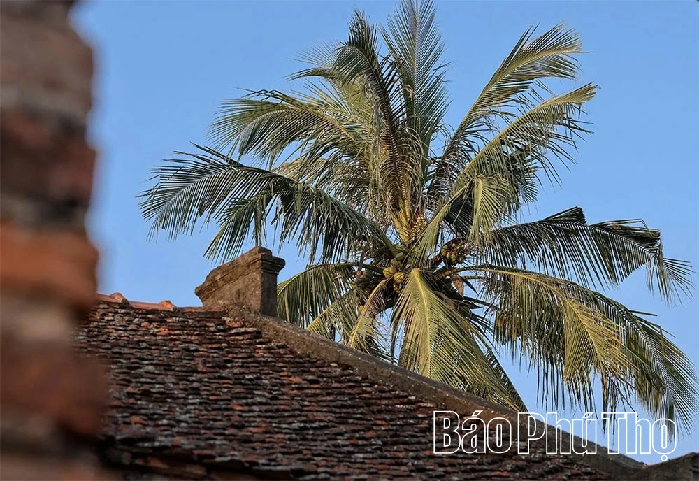 Đại Phúc Tự – Nơi lưu giữ bảo vật quốc gia