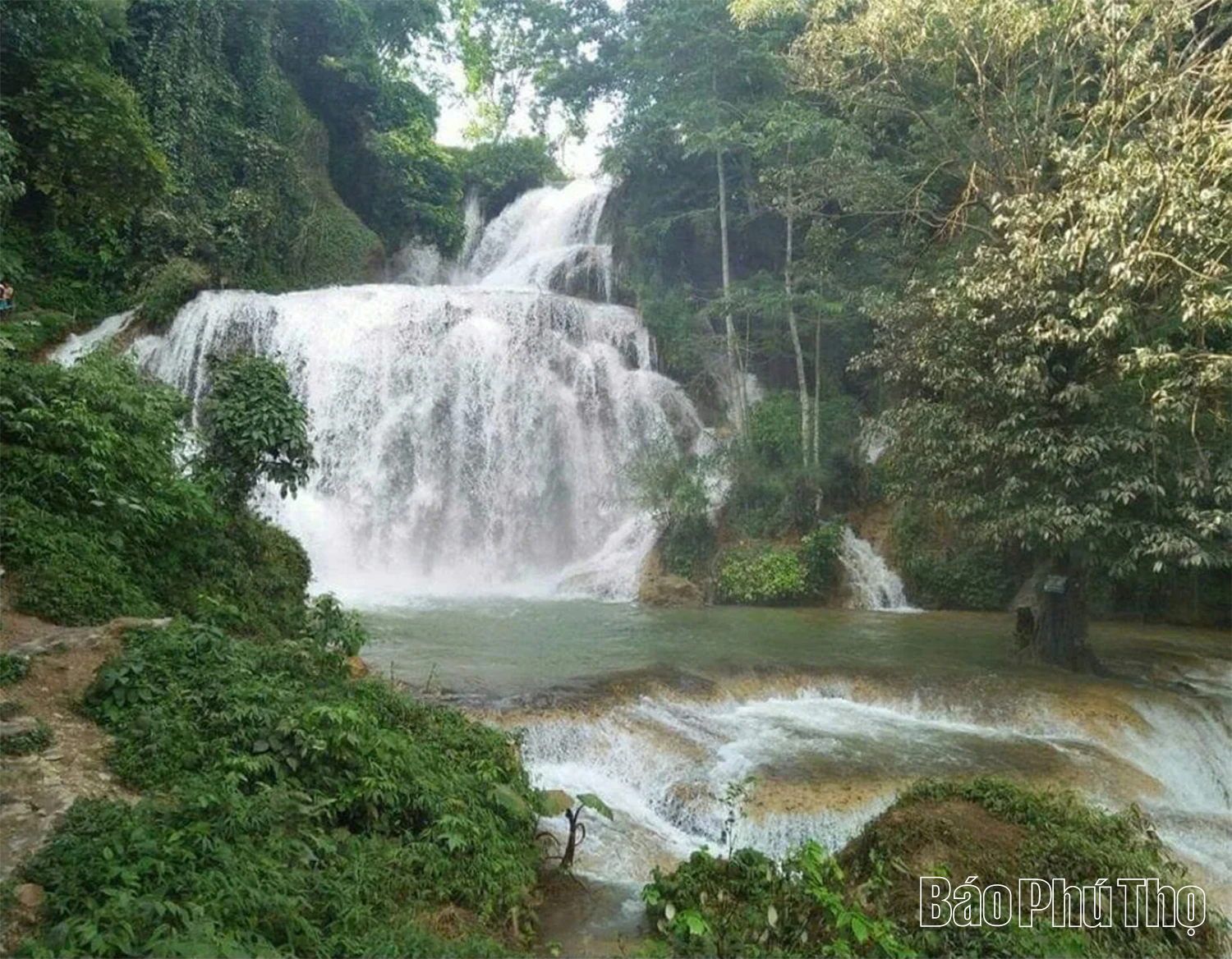 Đảng bộ xã Ngọc Sơn khẳng định vai trò lãnh đạo toàn diện