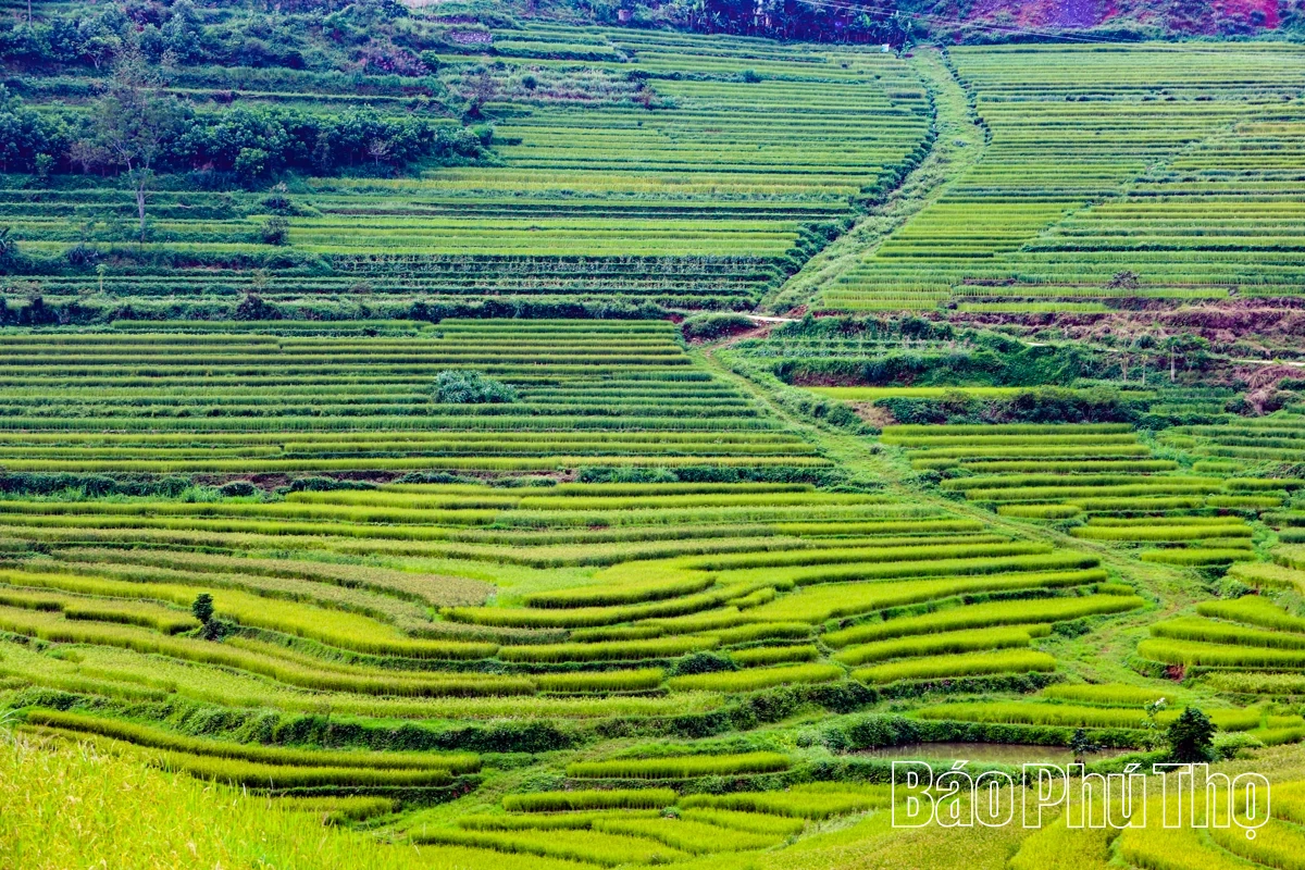 Thả hồn trên đỉnh Miền Đồi