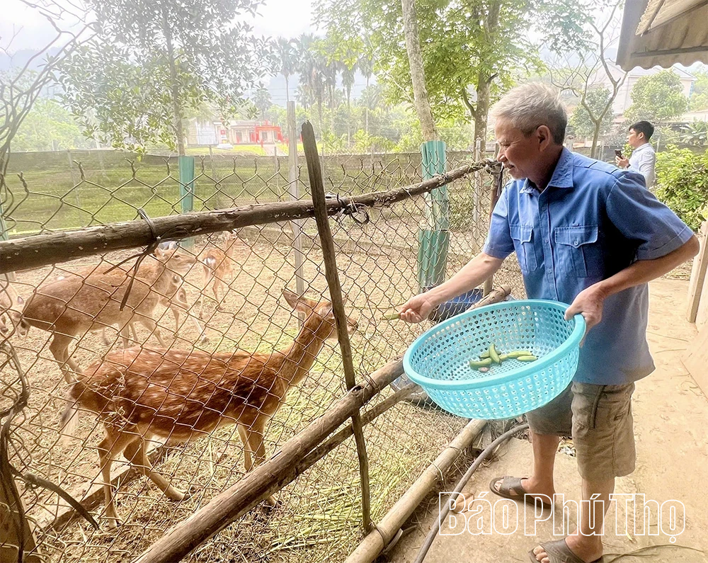 Chuyển động ở Vân Bán