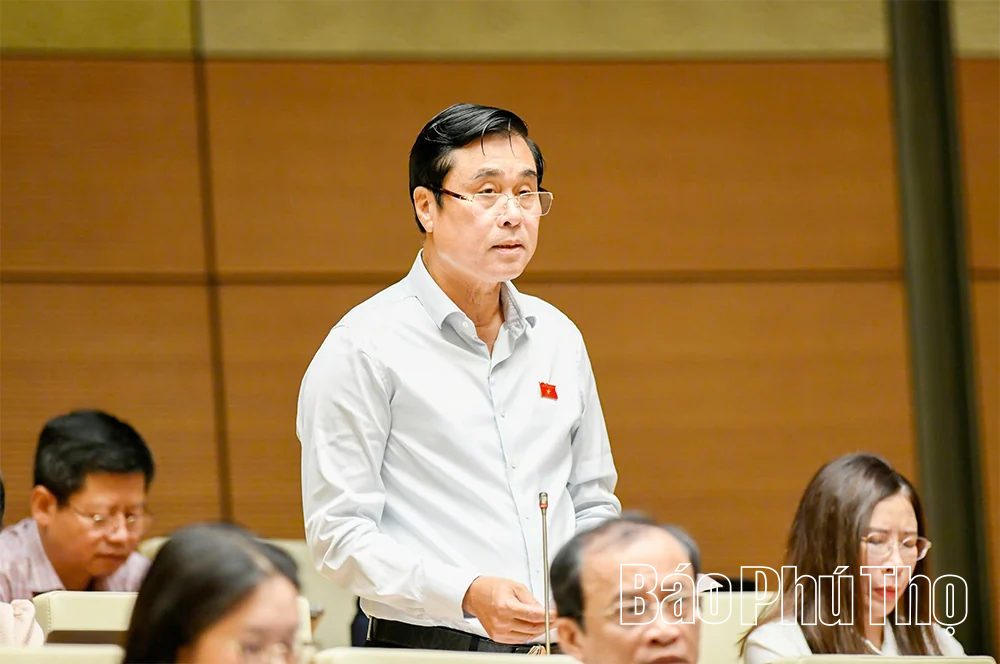 Đại biểu Quốc hội tỉnh thảo luận về định hướng chính sách sửa đổi Luật Kinh doanh bất động sản