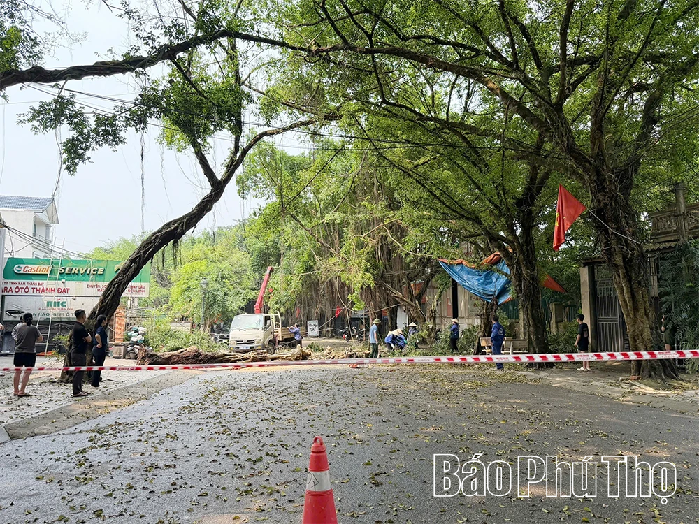 Khẩn trương khắc phục thiệt hại do dông, lốc gây ra