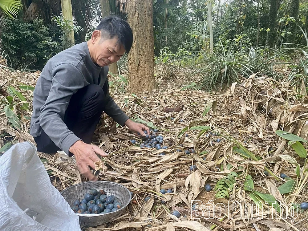 Lạ miệng từ m&oacute;n x&ocirc;i cọ