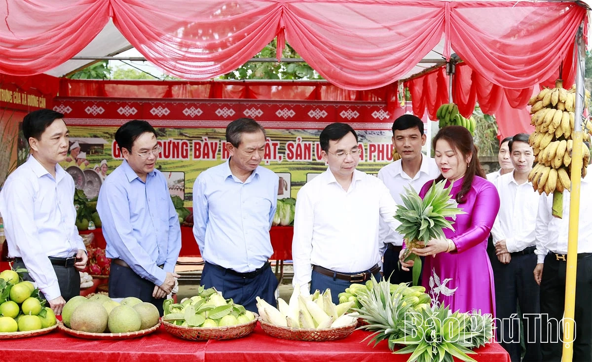 Phó Bí thư Tỉnh uỷ Bùi Huy Vĩnh chung vui Ngày hội đại đoàn kết khu dân cư Đành