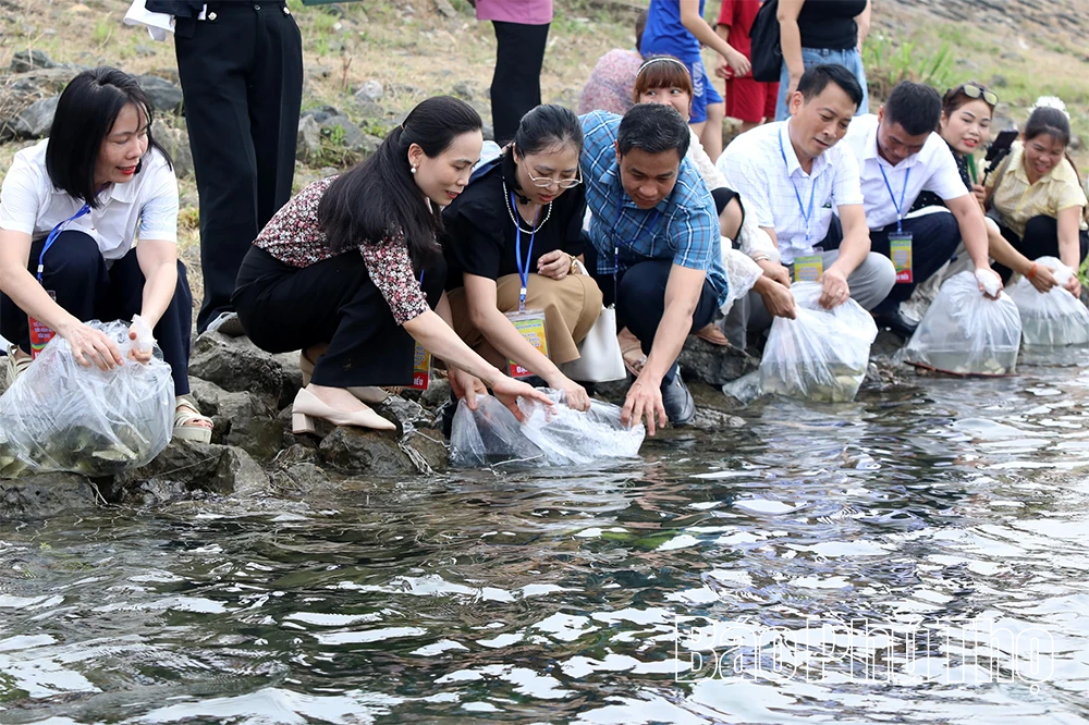 Lung linh đêm hội bên dòng Đà Giang