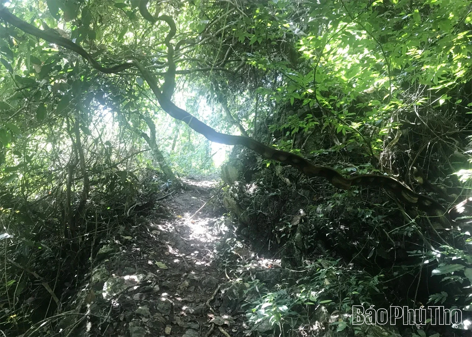 Nơi không gian, thời gian ngưng đọng giữa đại ngàn