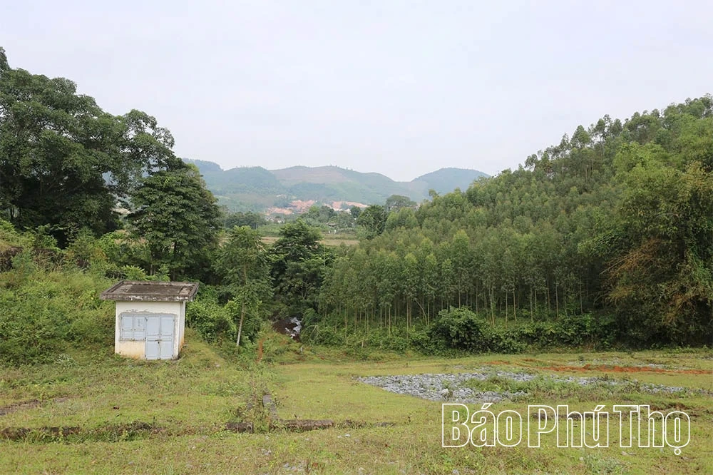 Phó Chủ tịch UBND tỉnh Đinh Công Sứ kiểm tra công tác khắc phục hậu quả thiên tai tại các xã Thanh Thủy, Thanh Sơn
