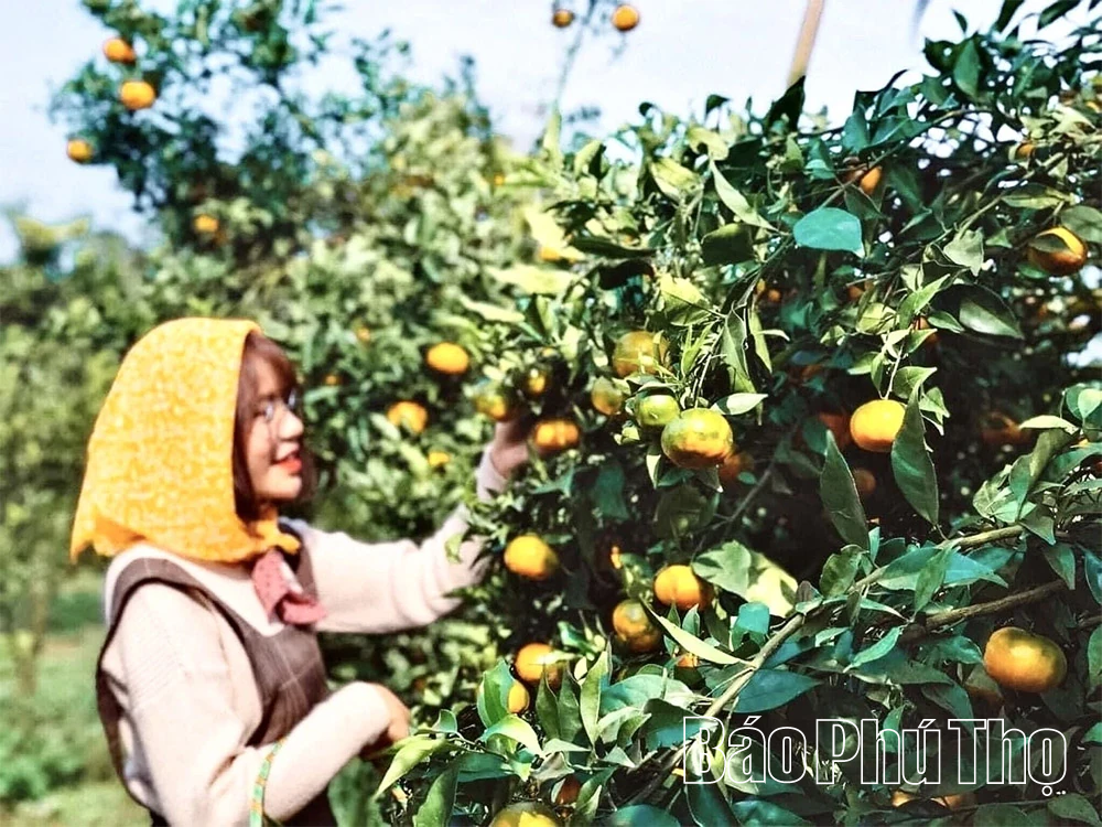 Khám phá du lịch trên “Nóc nhà xứ Mường”