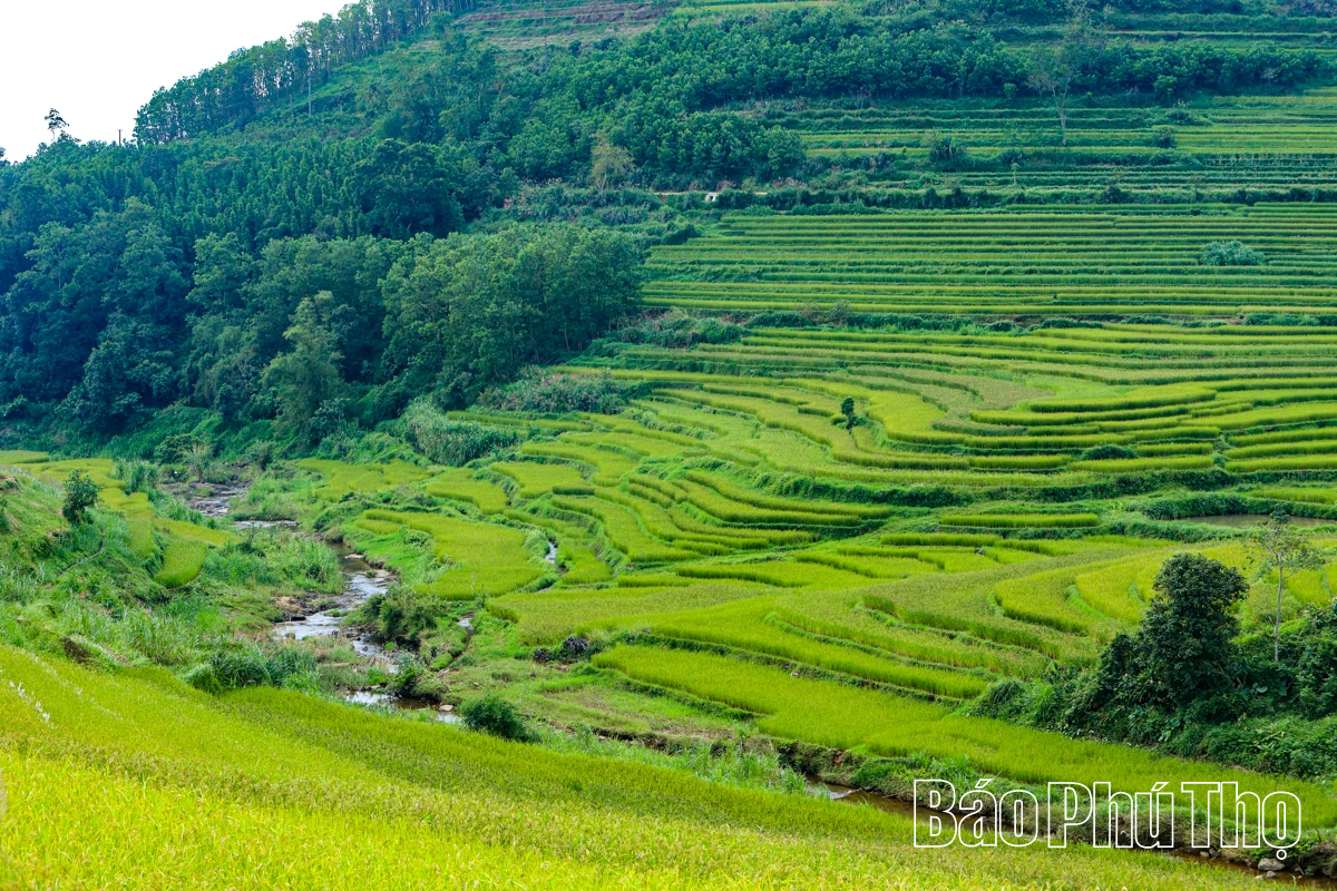 Thả hồn trên đỉnh Mường Vang