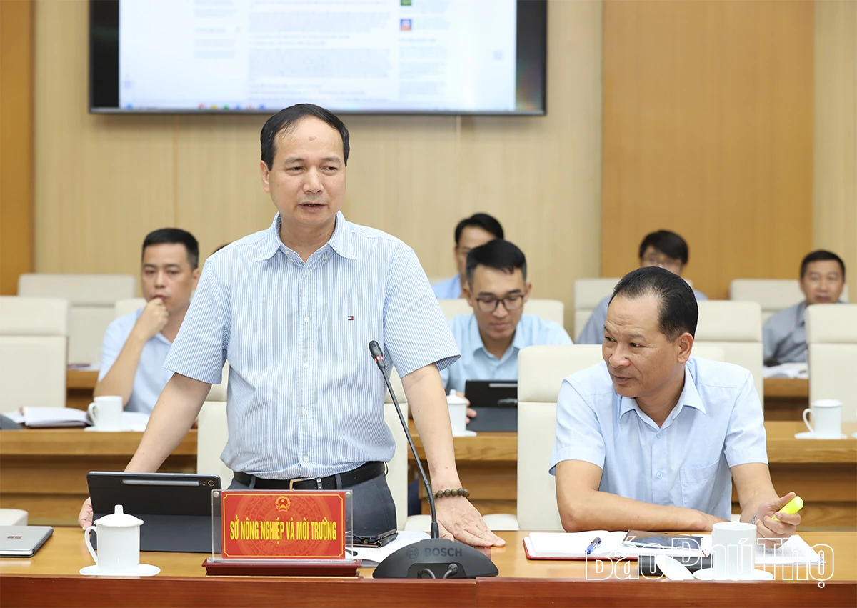 Đẩy nhanh tiến độ triển khai các dự án của Tập đoàn Sun Group