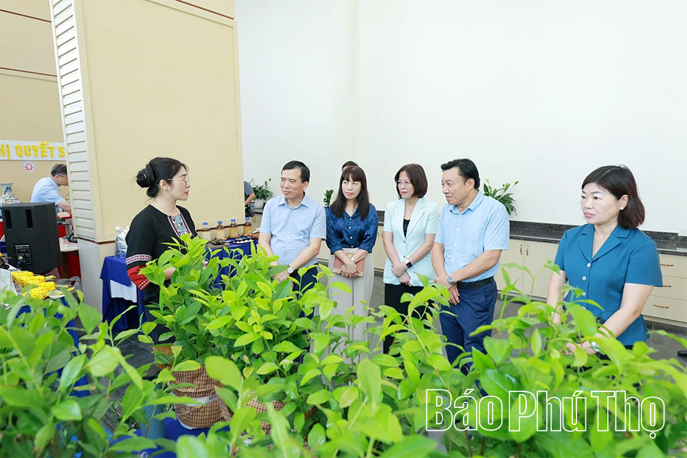 Tổng duyệt Hội nghị sơ kết 6 tháng đầu năm 2026 thực hiện Nghị quyết số 57-NQ/TW 