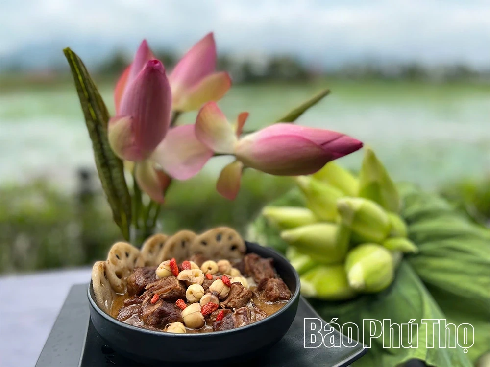 Sắc sen mùa Hạ - Điểm nhấn xanh giữa lòng Vườn Vua