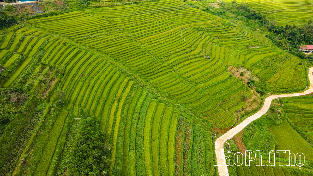 Thả hồn trên đỉnh Mường Vang