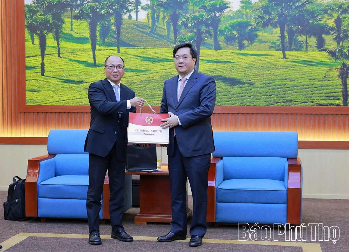 Chủ tịch UBND tỉnh Trần Duy Đ&ocirc;ng tiếp v&agrave; l&agrave;m việc với l&atilde;nh đạo C&ocirc;ng ty &Ocirc; t&ocirc; Toyota Việt Nam