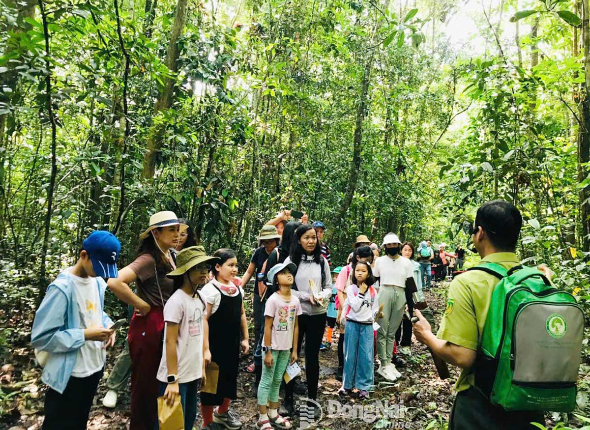 Nhiều tour khám phá cho học sinh, sinh viên được thực hiện tại Khu Bảo tồn Thiên nhiên - Văn hóa Đồng Nai. Ảnh: Q.Trung