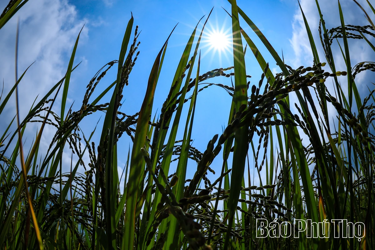 Thả hồn trên đỉnh Mường Vang