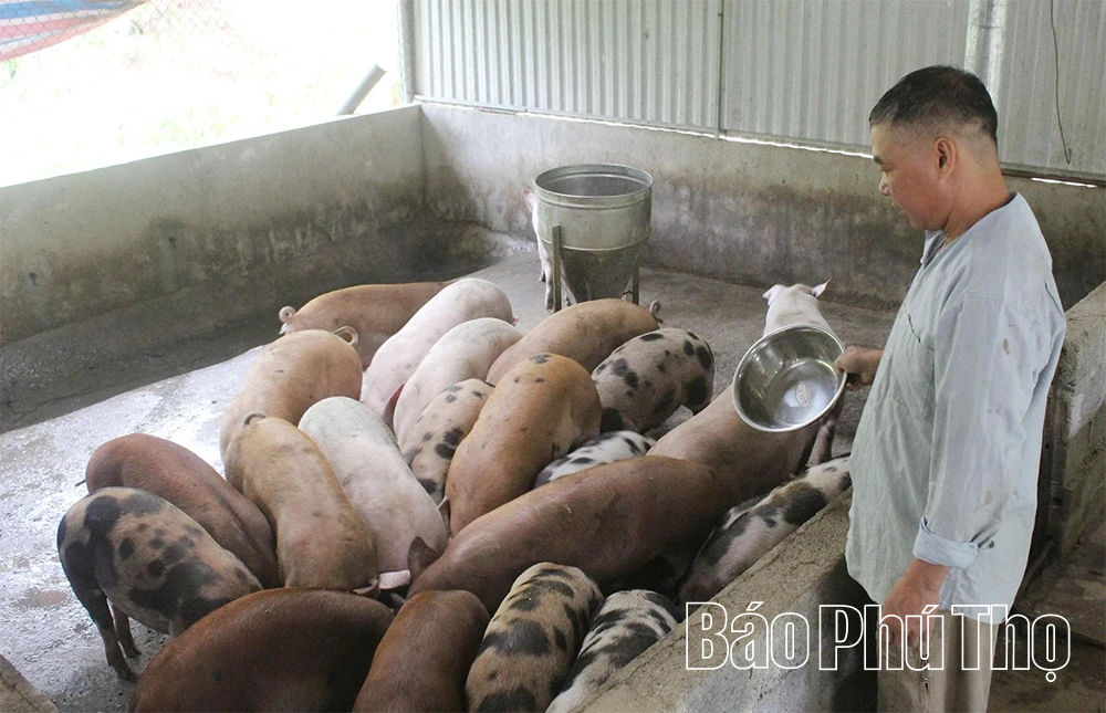 Đảng bộ x&atilde; Cao Sơn đưa nghị quyết v&agrave;o cuộc sống